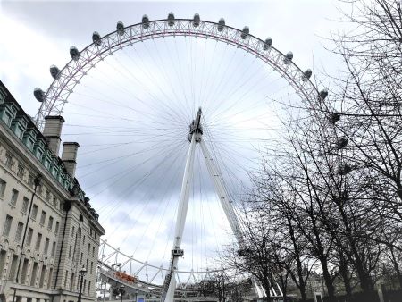 大観覧車ロンドン アイに乗ってみよう みゅうロンドンブログ オプショナルツアー 現地ツアーの みゅう