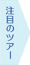 注目のツアー