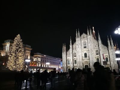 ミラノのドゥオモのクリスマスツリー