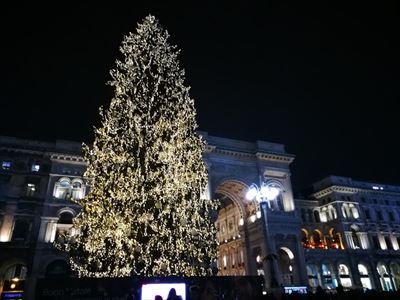 ミラノのドゥオモのクリスマスツリー