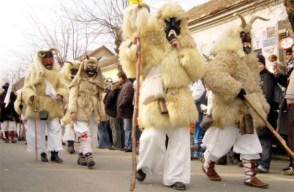 ブショー祭り2009