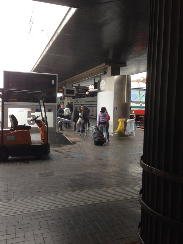 Security check at Venice station