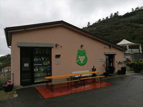 Cantina cinqueterre1