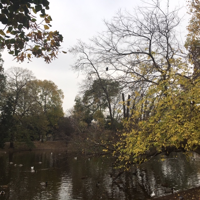市立公園の池