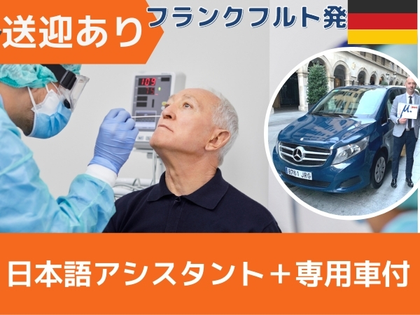フランクフルトでの日本帰国前のpcr検査 日本語アシスタントと専用車送迎付き フランクフルトの観光 現地オプショナルツアー予約なら みゅう