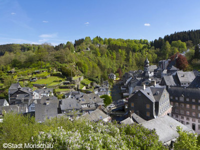 プライベートツアー 日本語ドライバーガイドと専用車で行く ドイツとベルギーの素敵な田舎めぐり モンシャウとデルビュイ デュッセルドルフオプショナルツアー オプショナルツアー 現地ツアーの みゅう