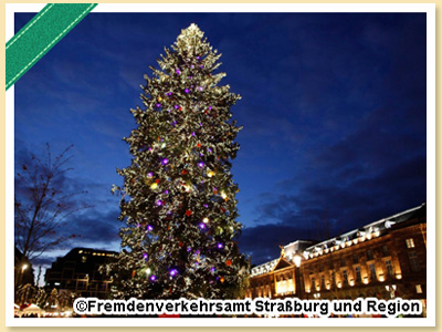 ストラスブールとスフレンハイム フランクフルトから国境を越えてクリスマスのアルザス地方へ フランクフルト オプショナルツアー オプショナルツアー 現地ツアーの みゅう