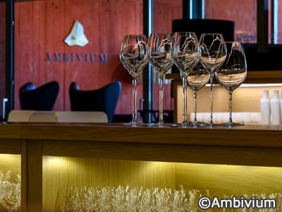 マドリッド発　スペイン リオハ ワインツアー 赤ワインの原産地リベラ・デル・ドゥエロを巡る ～ワイナリー内のミシュラン１つ星「アンビビウム(Ambivium)」でのランチ～