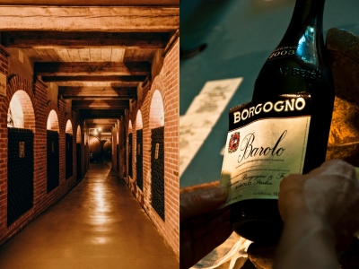 ミラノ発　イタリア ワインツアー ワインの王「バローロ」を味わい尽くす　～セラー見学とテイスティング～