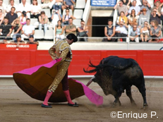 スペインの国技 闘牛を見る 現地オプショナルツアーの みゅう